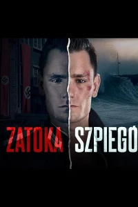 Шпионская бухта